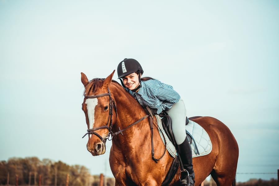 Explore Horseriding in Singapore for a Perfect Equestrian Experience
