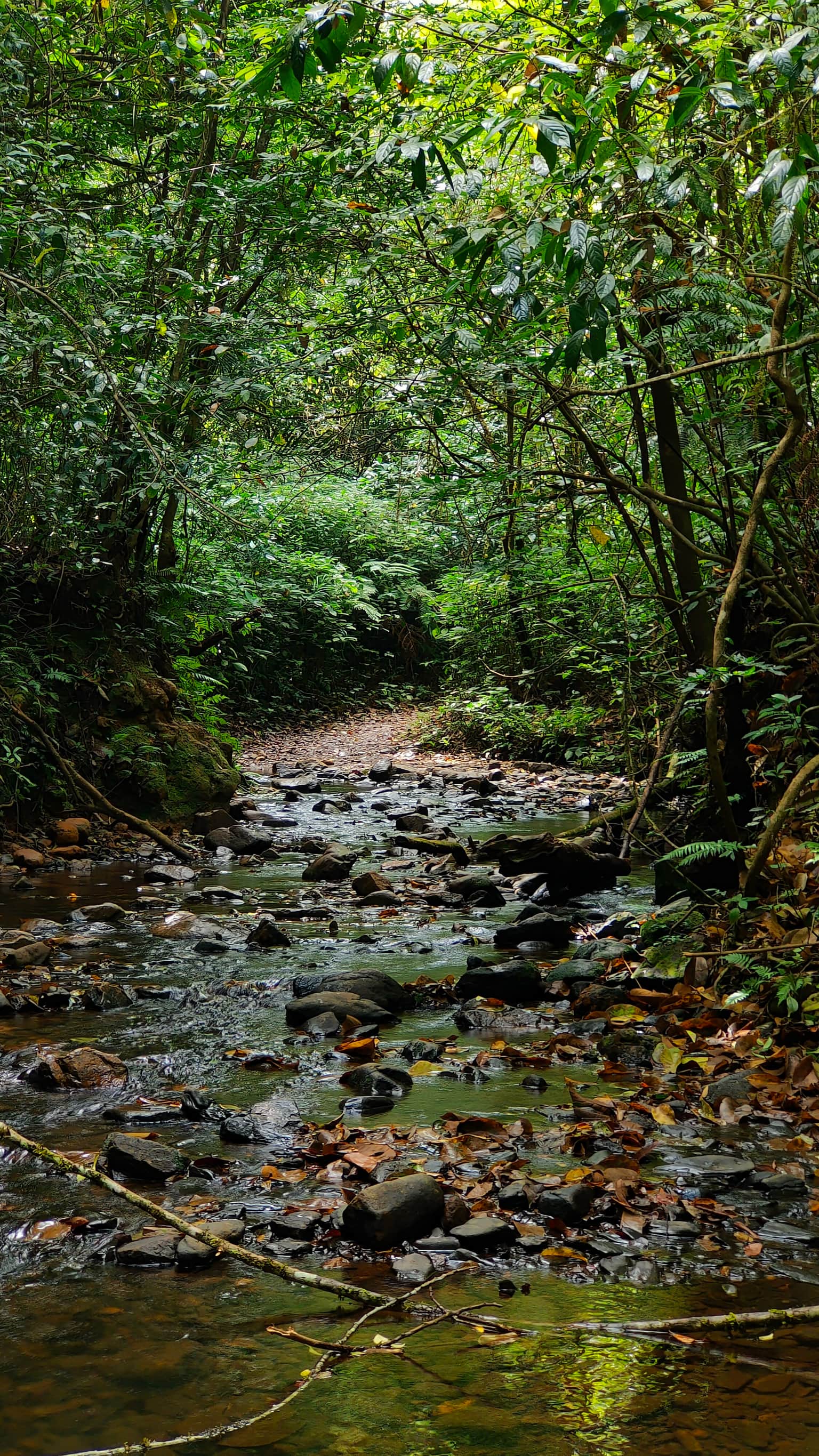 Photo from Lalith Harish's trip