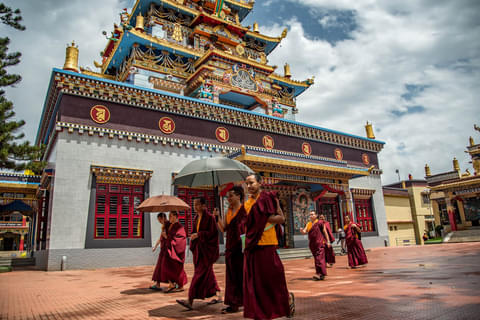 Activity & SightSeeing Image