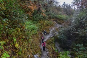 Vwdew0hx8inrdgclabd6evtk9ujt dl.beatsnoop.com 3000 4cdildsvst