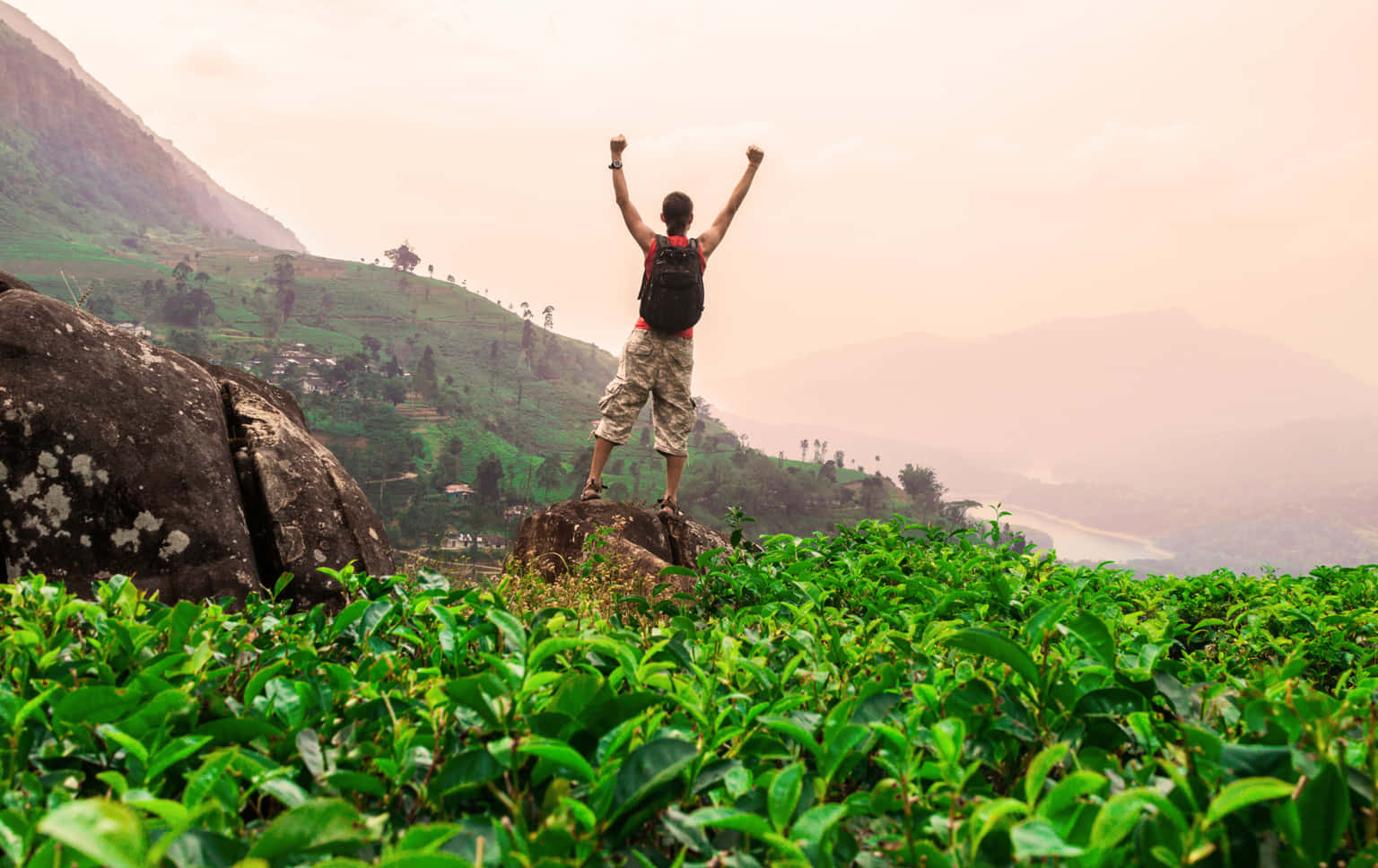 Munnar Half Day Trekking Through Tea Plantation