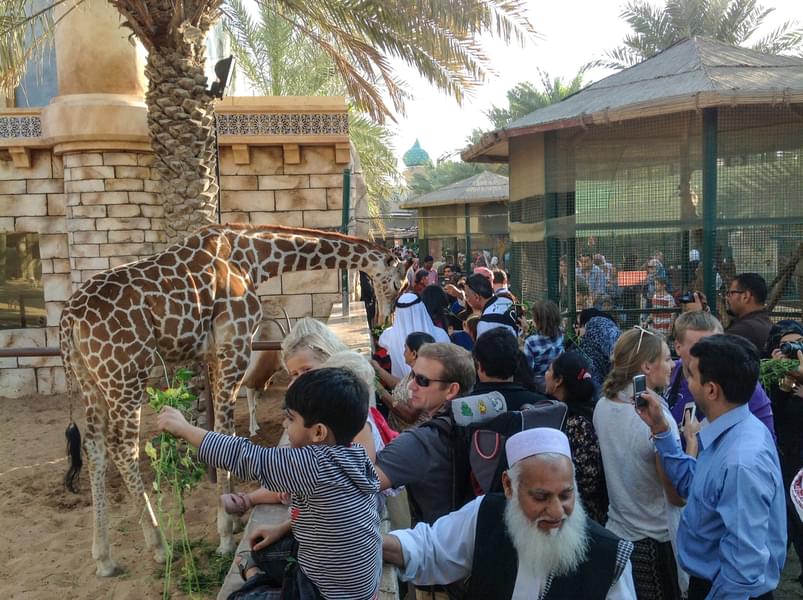 Interactive Session at Emirates Park Zoo