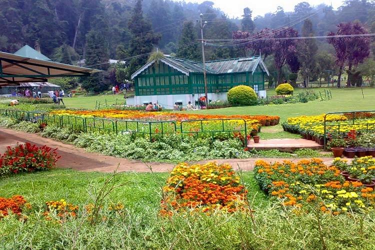 Ooty Sightseeing Packages Image
