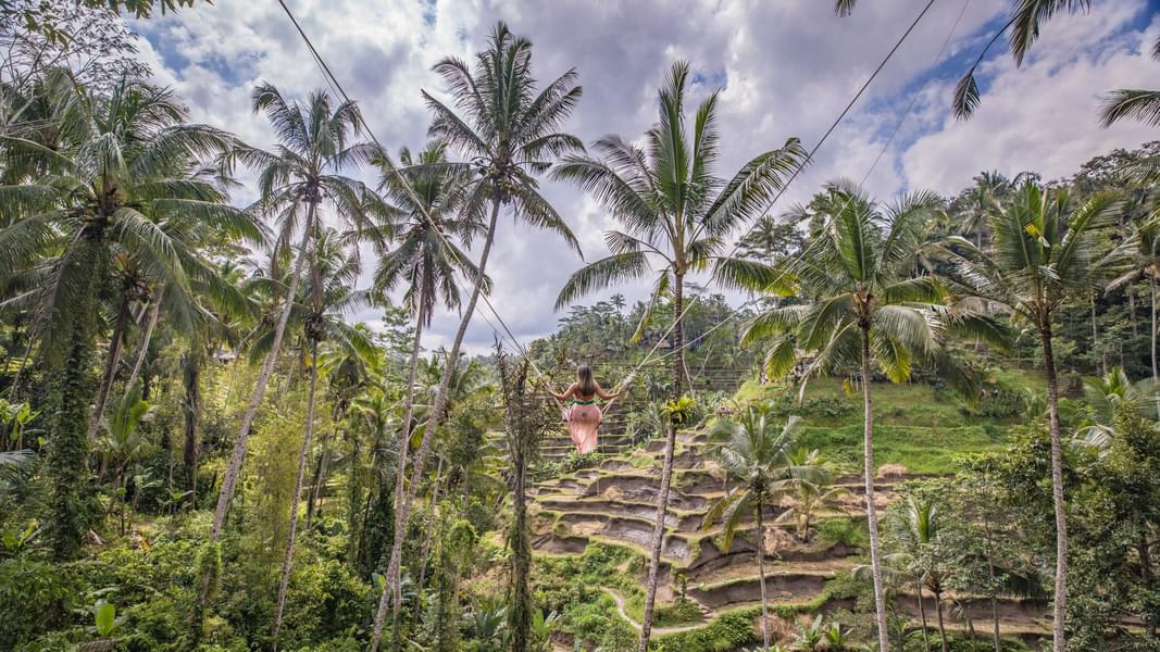 What to Expect at Bali Swing Ubud?