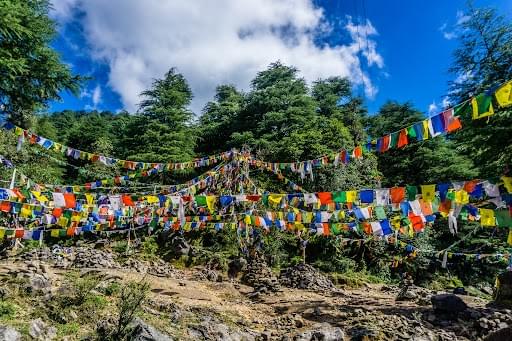mcleodganj tour package