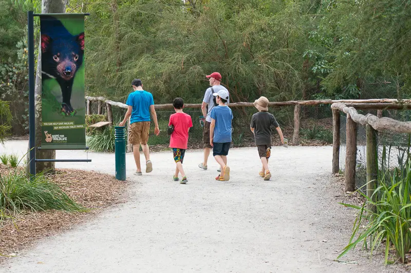 Main Track