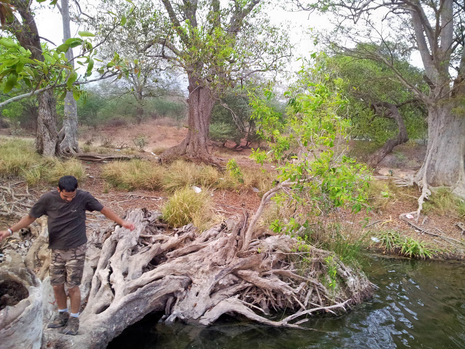 Photo from Tejas Bhattacharya's trip