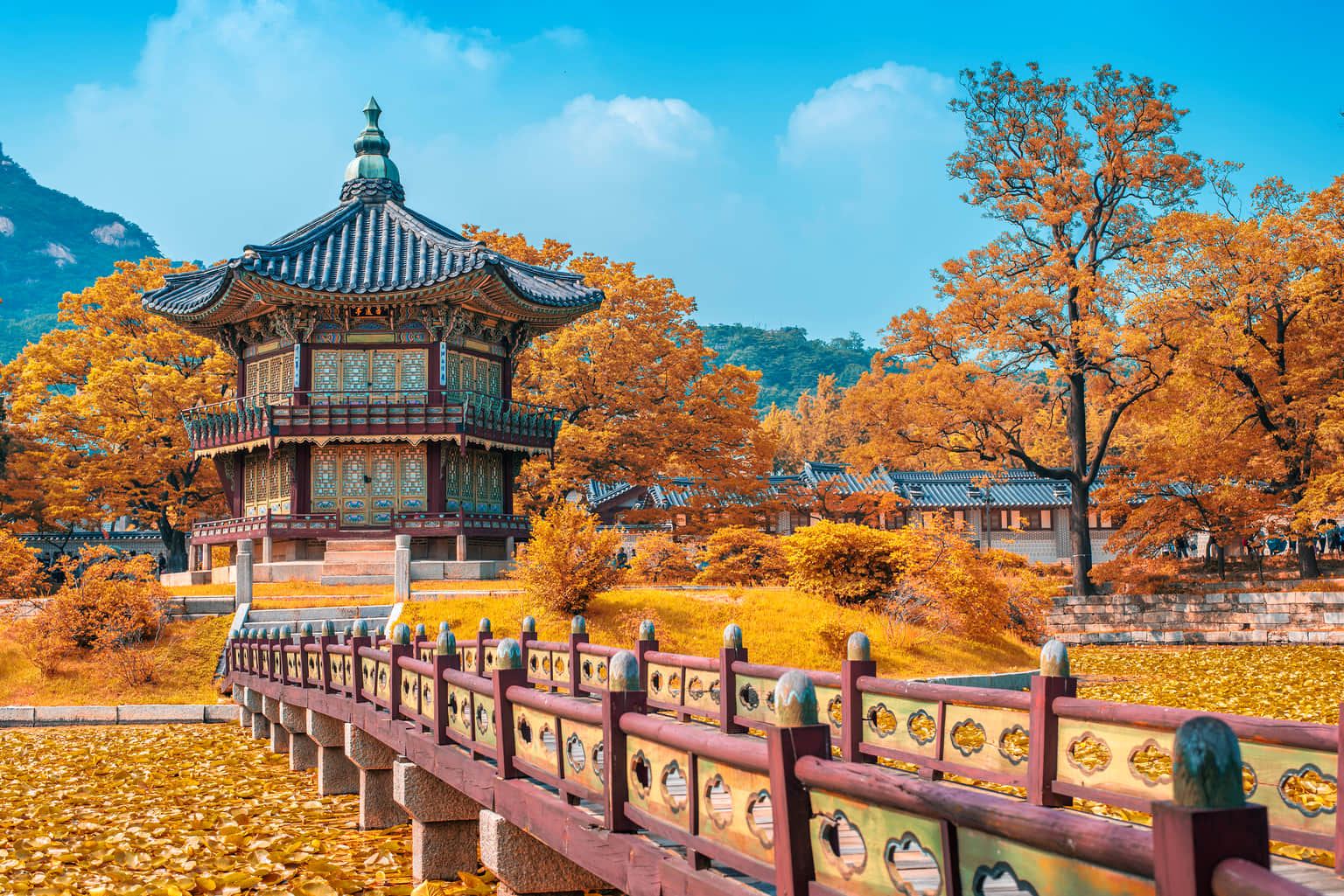 <em>Seoul</em> Tour Packages From Nashik