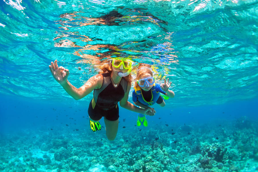 Snorkeling In Sanur Image