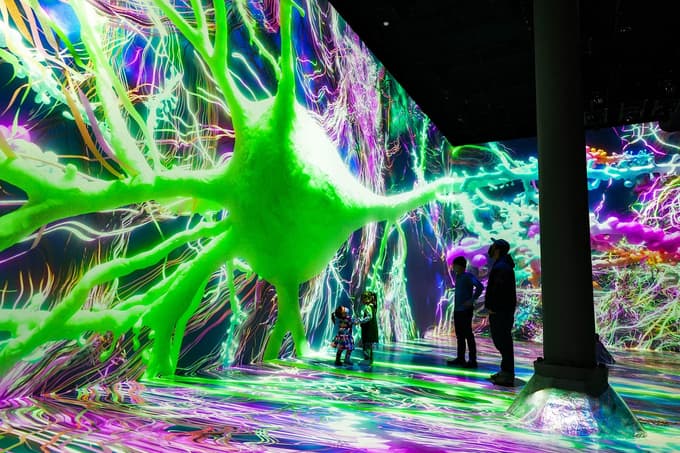 Explore the fascinating art of technology by going to the unique New York Museum