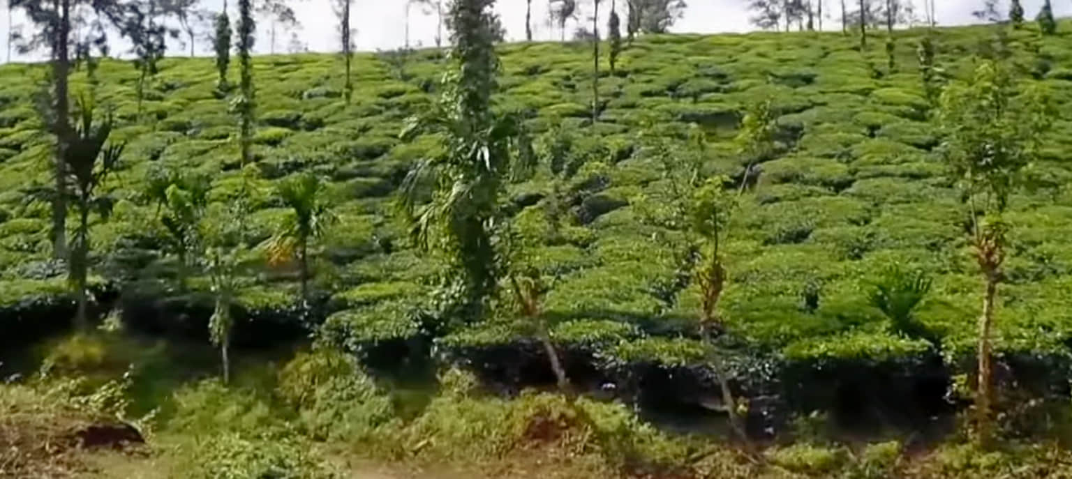 Photo from Ganak Marar's trip