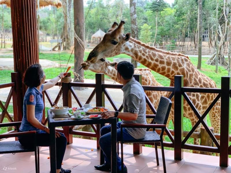 Vinpearl Safari Phu Quoc Tickets Image