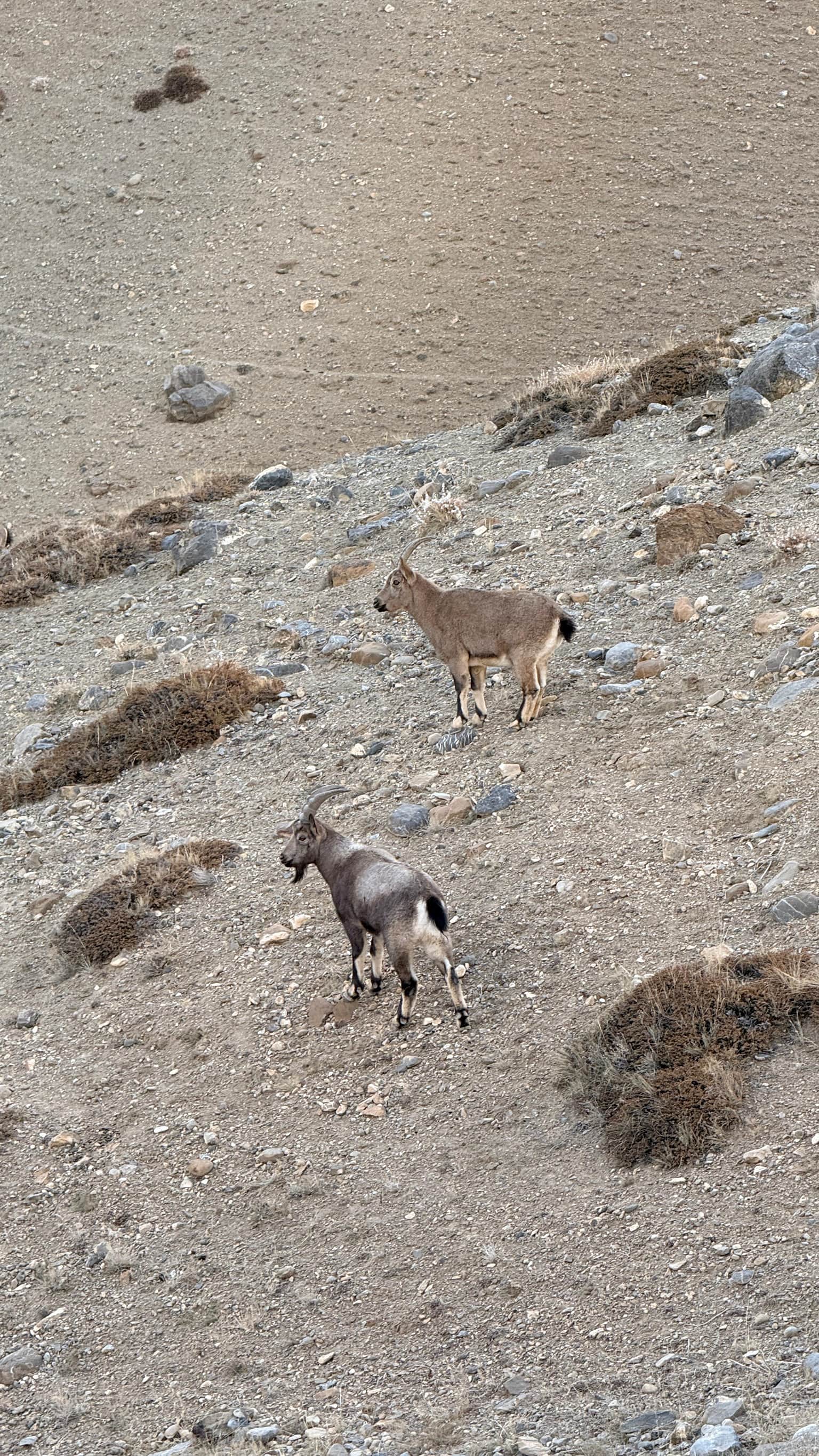 Photo from MUGUNTHA BALA's trip