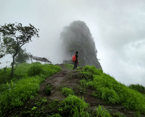 Vz4o0la27j8cxl6rm23e2htf5vid zdsrg