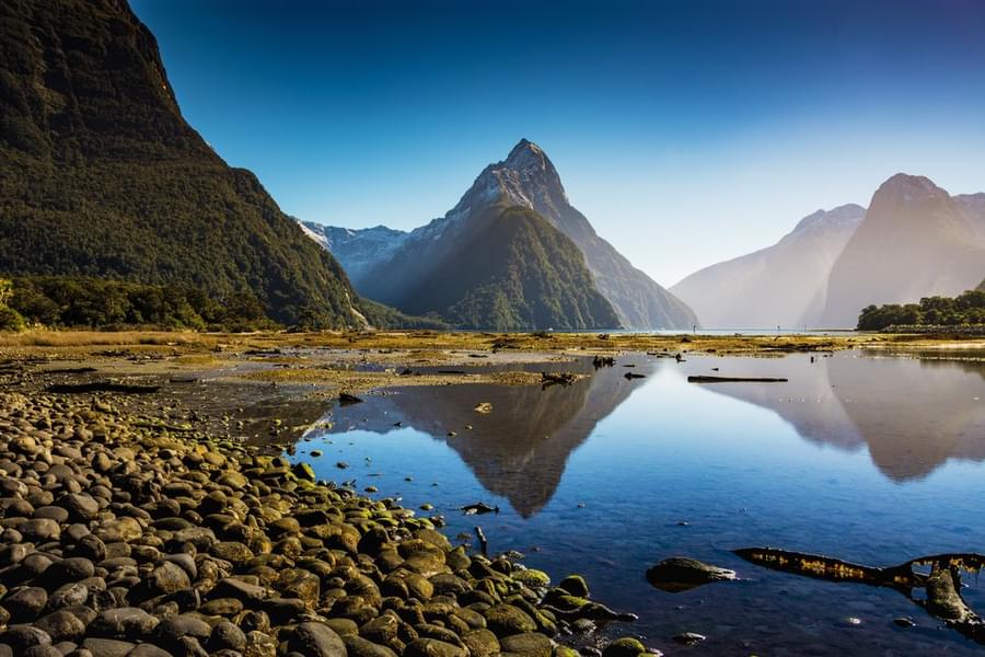 Milford Sound Tour by cruise: 2-Hour Small Boat