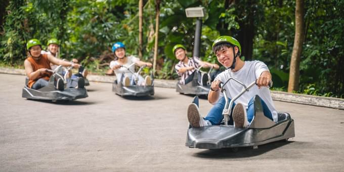 Skyline Luge Sentosa.jpg