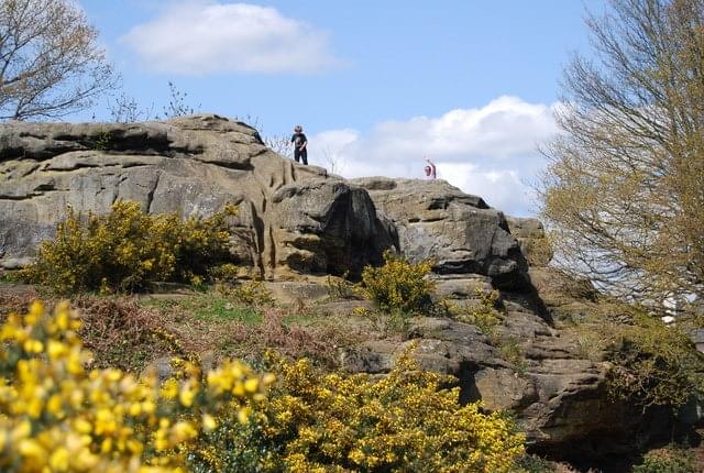 Enjoy Panoramic View from Toad Rock