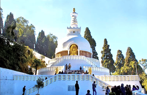 Activity & SightSeeing Image
