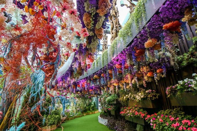 Floral Fantasy, Singapore