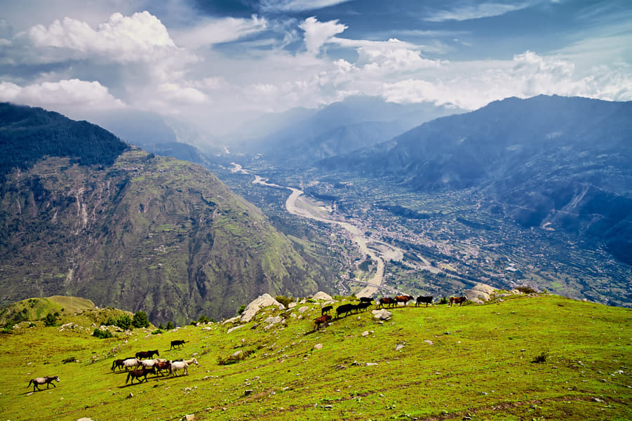 Weekend Trip to Manali Image