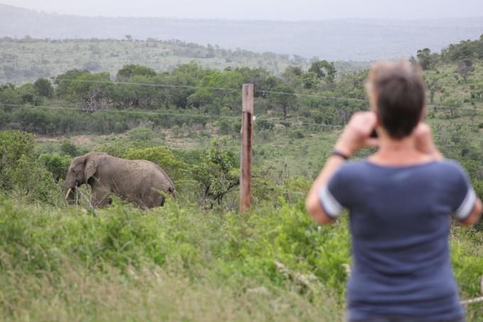 Seaview Elephant Camp