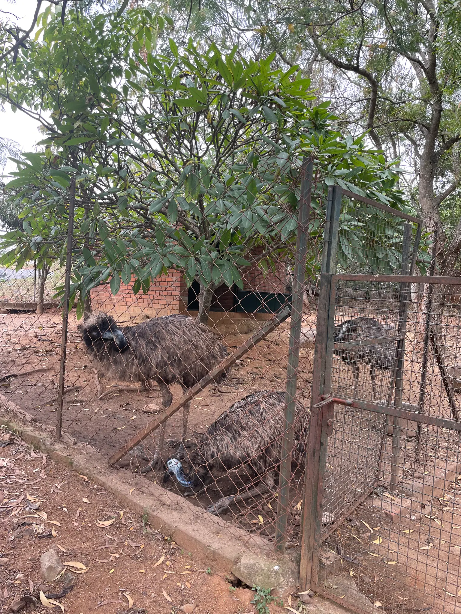 Photo from Nimisha Kashyap's trip