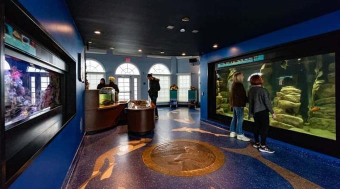 MARINE HABITAT GALLERY