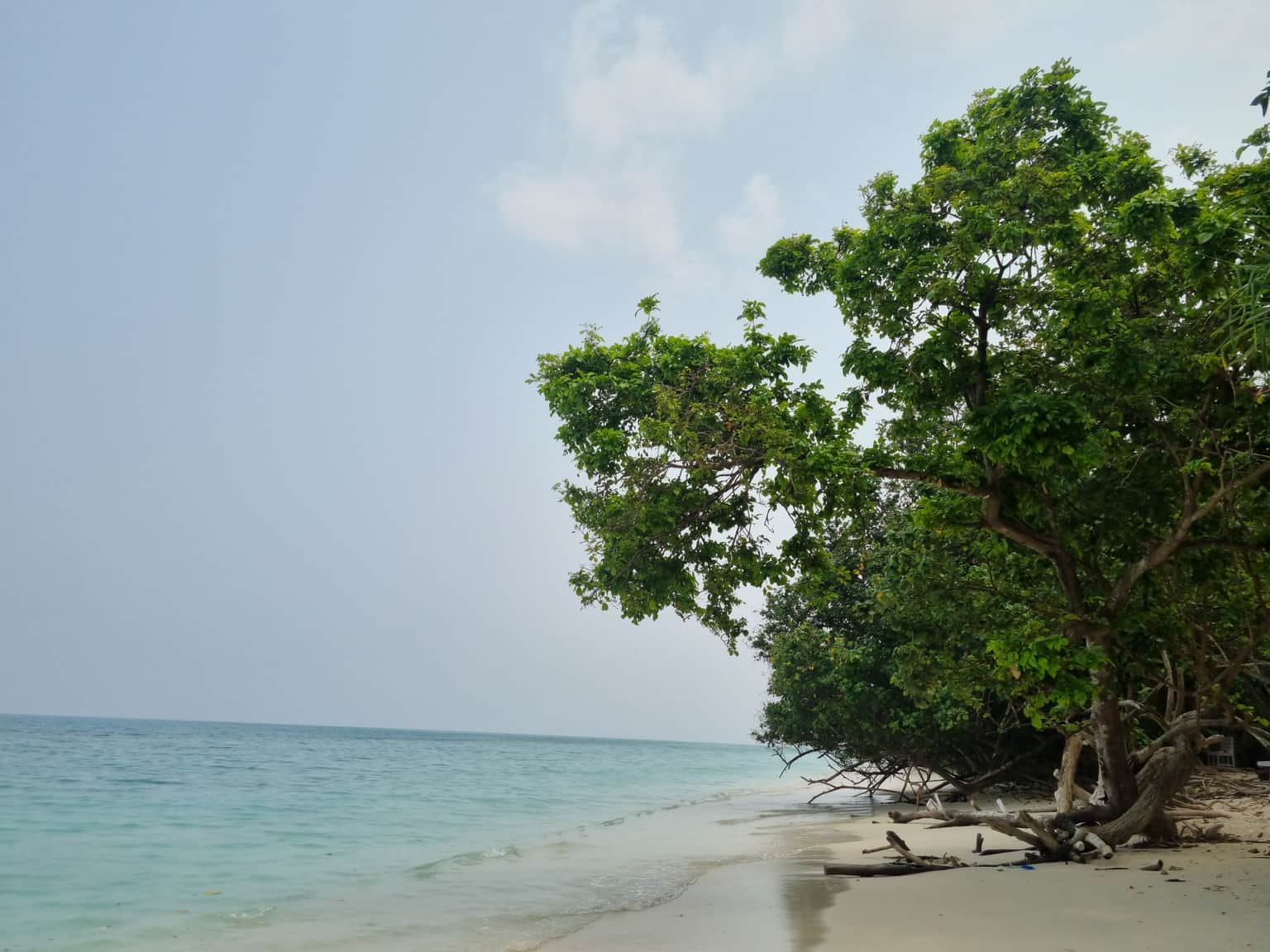 Photo from Abhinav  Raina's trip