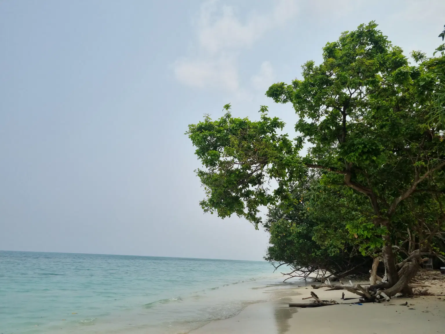Photo from Abhinav  Raina's trip