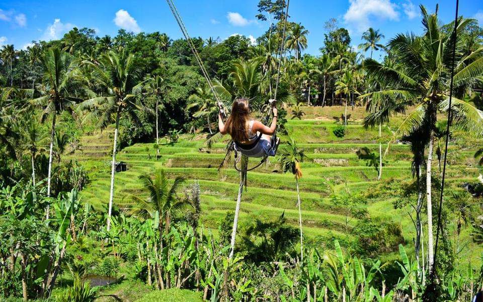 Tegallalang Rice Terraces Swing