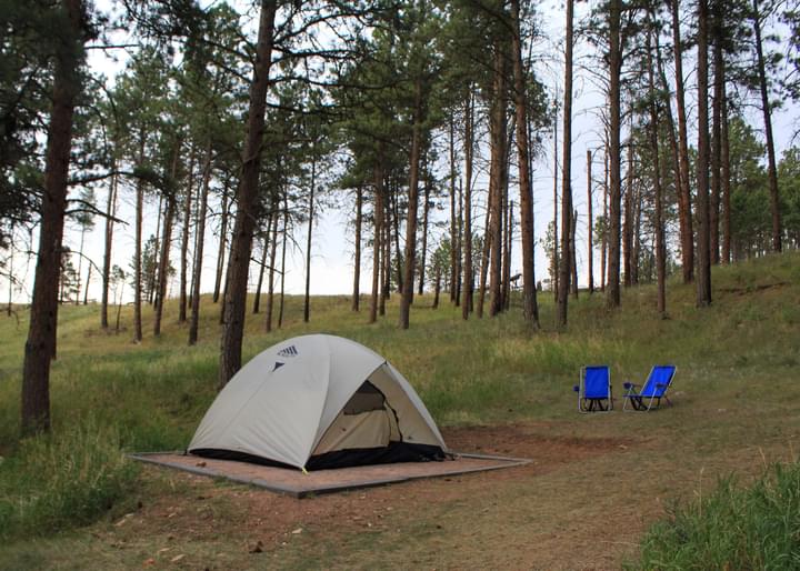 Springbrook National Park Camping