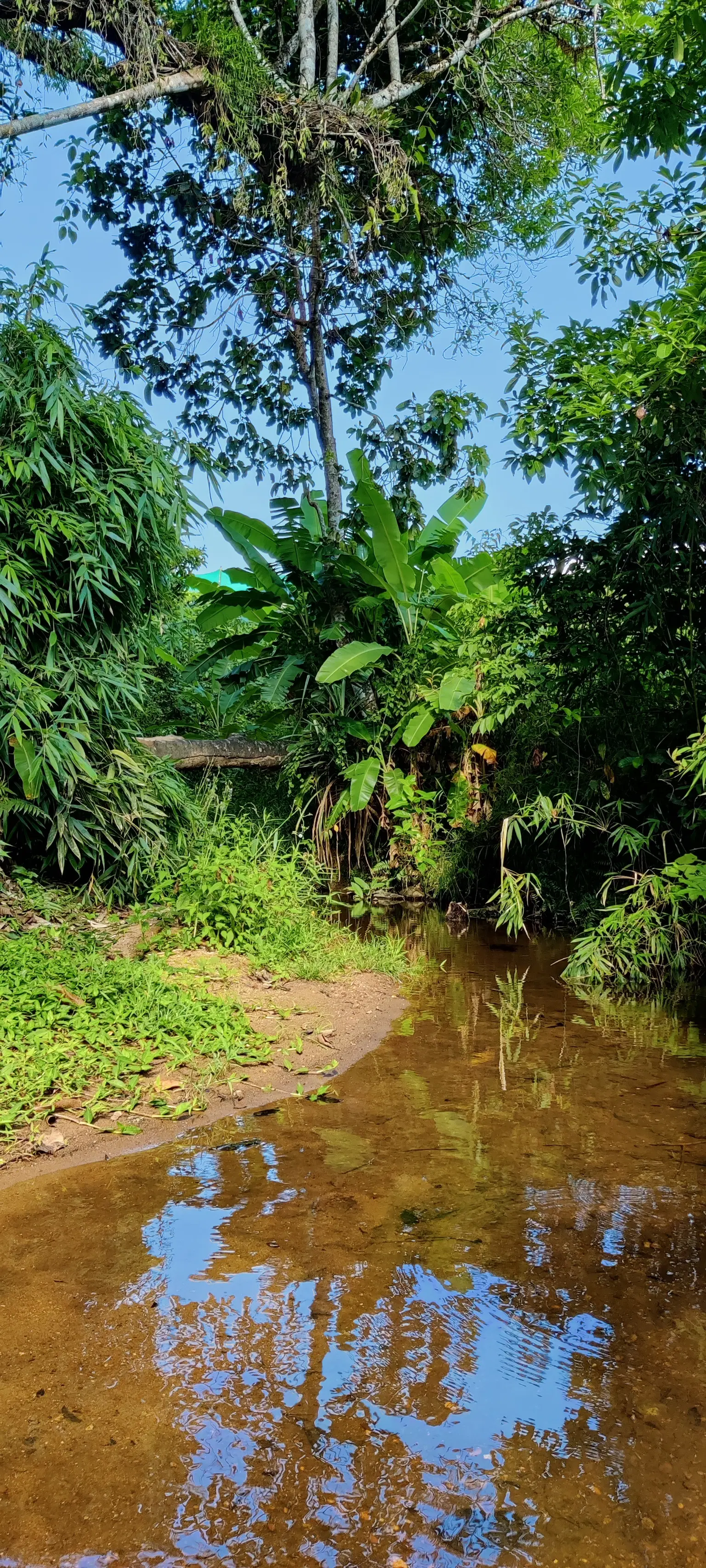 Photo from Varsha BH's trip