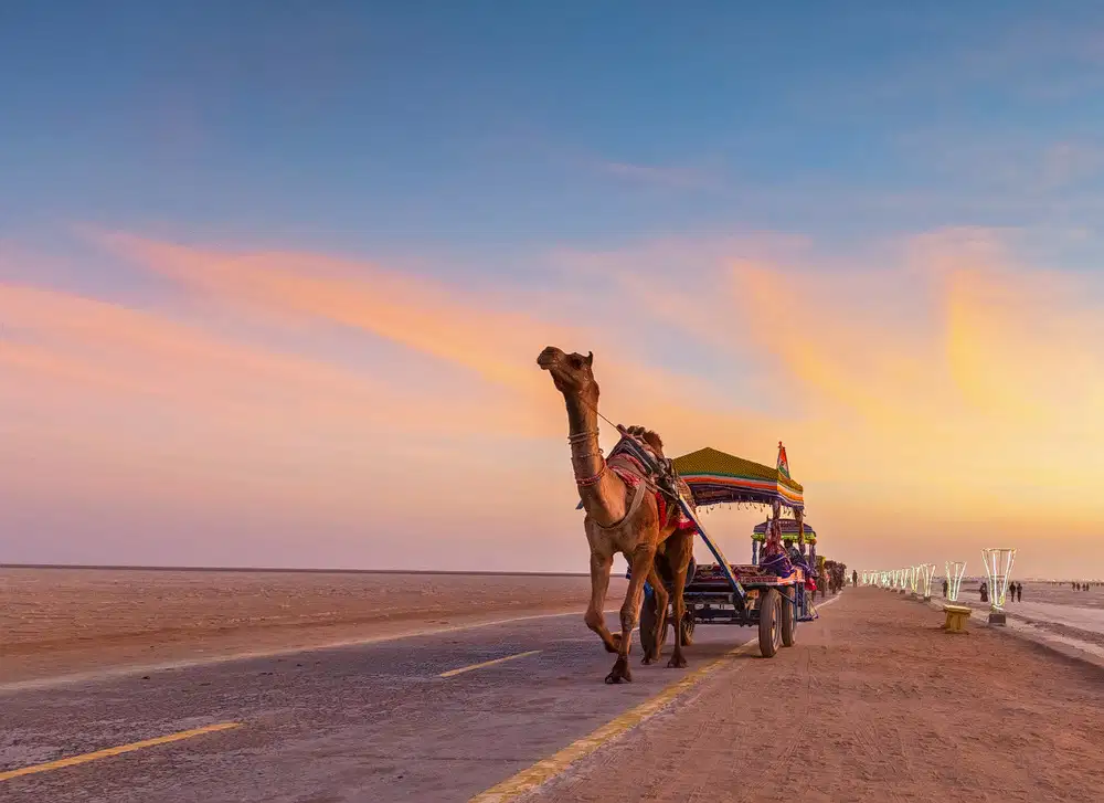 Rann of Kutch Tour Package