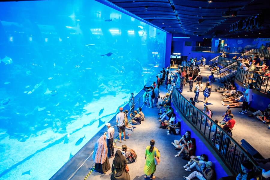 Rules and Regulations SEA Aquarium
