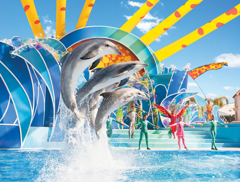 Enjoy your time at the SeaWorld San Diego