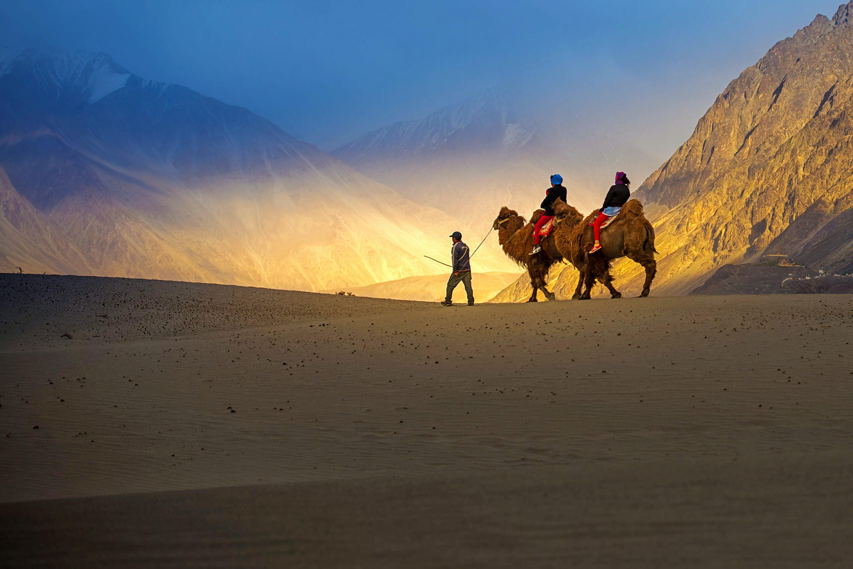 Take a thrilling riding of Bactrian camel which is known for its characteristic two humps