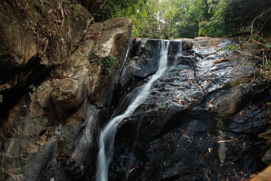 Cochin to Vagamon Sightseeing Tour Image