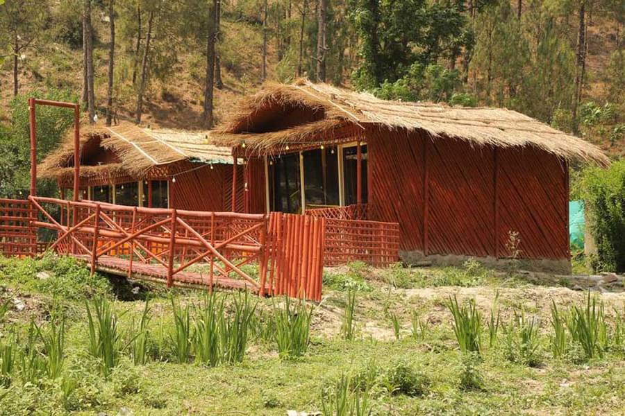 A Quiet Eco-Friendly Cottage Stay near Shimla Image