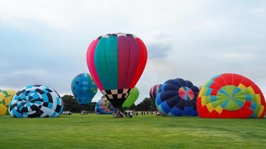 Camden Valley Hot Air Balloon Image