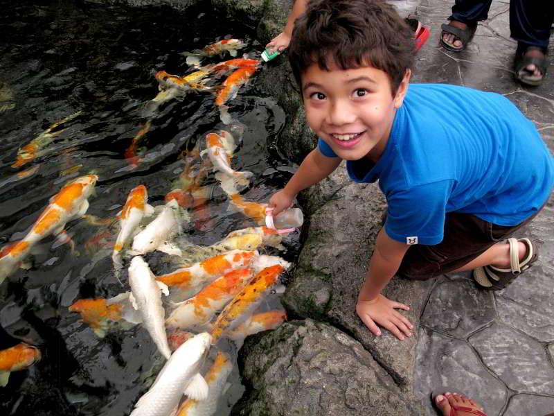 Capture amazing pictures of your kids as they interact with the fishes