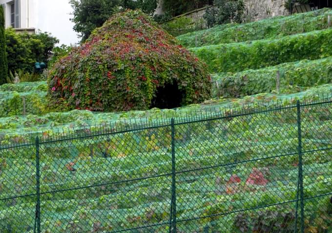 Clos Du Pas Saint-Maurice