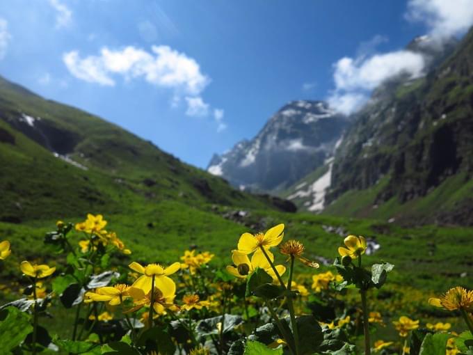 Hampta pass trek