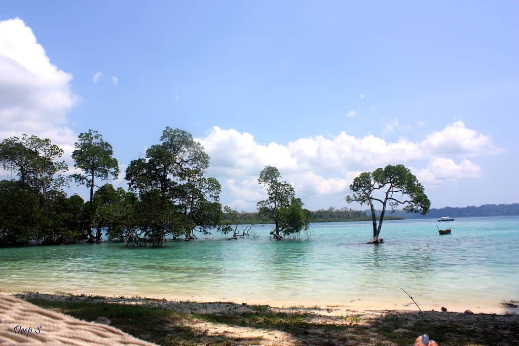 Sunbathe on Virgin Beaches