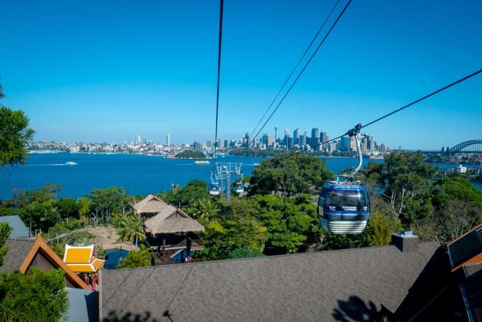 Taronga Zoo Sydney Tickets