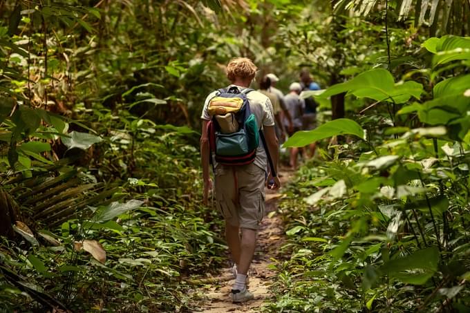 Daintree National Park