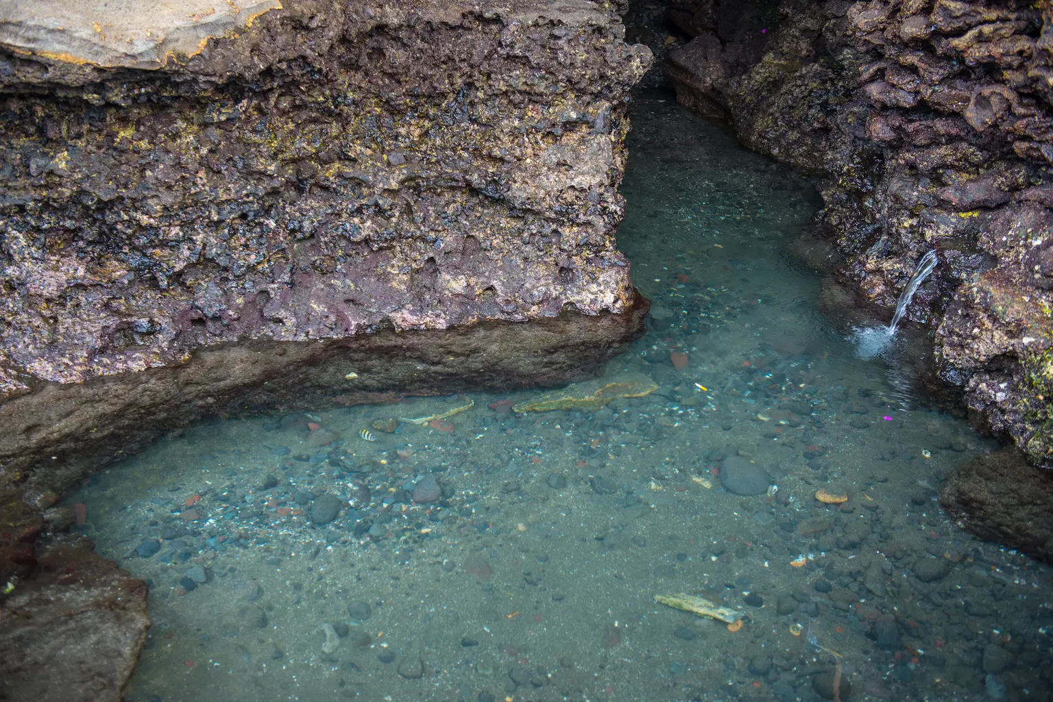 Holy Water Cave at Tanah Lot Temple