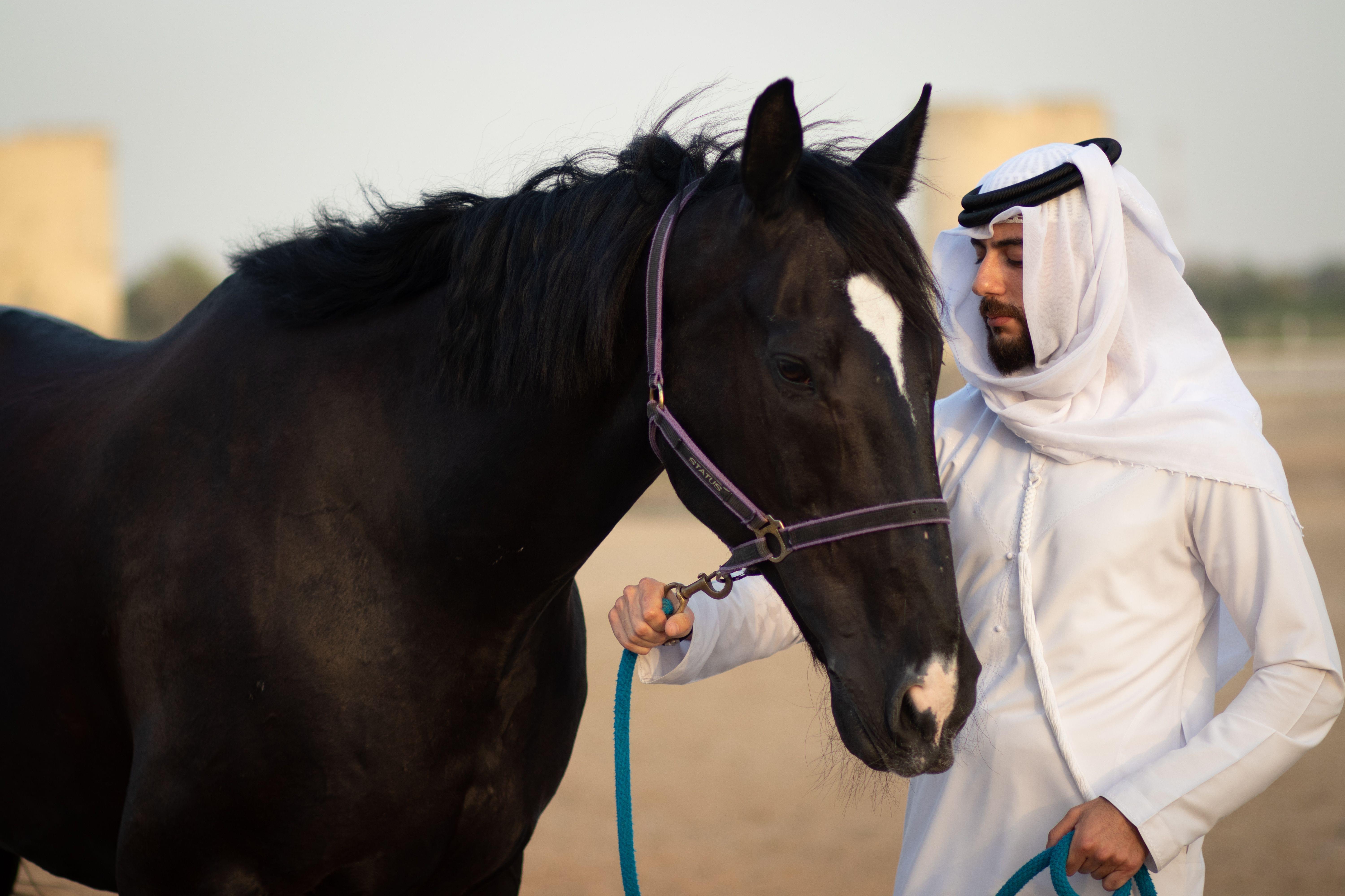 Best 9 Places for Horse Riding in Abu Dhabi to Enjoy with Friends