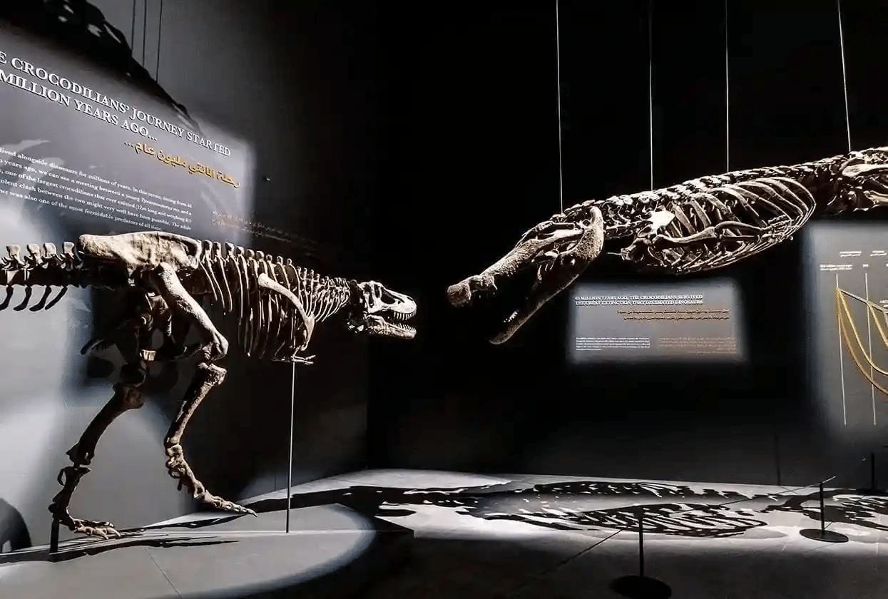 Travel back in time at the ‘Museum’