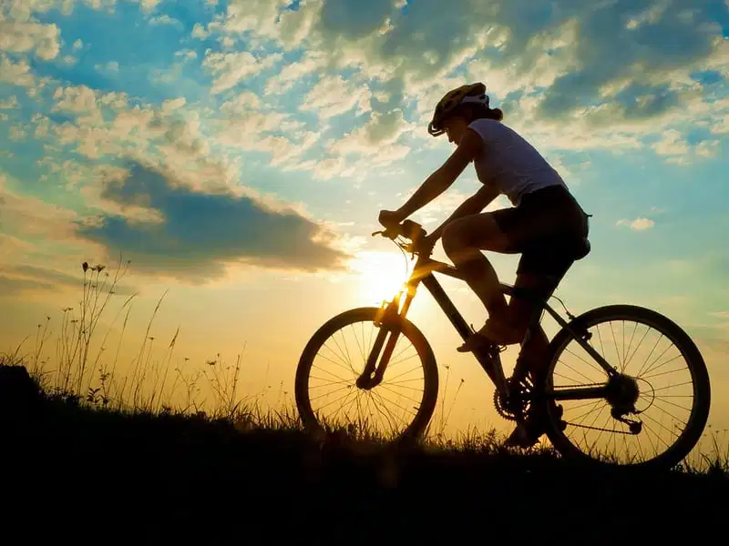 Cycling At Chorao Island