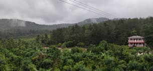 W7l82zx1fm3u03qj8h9kni6f9ypi 1613382381834